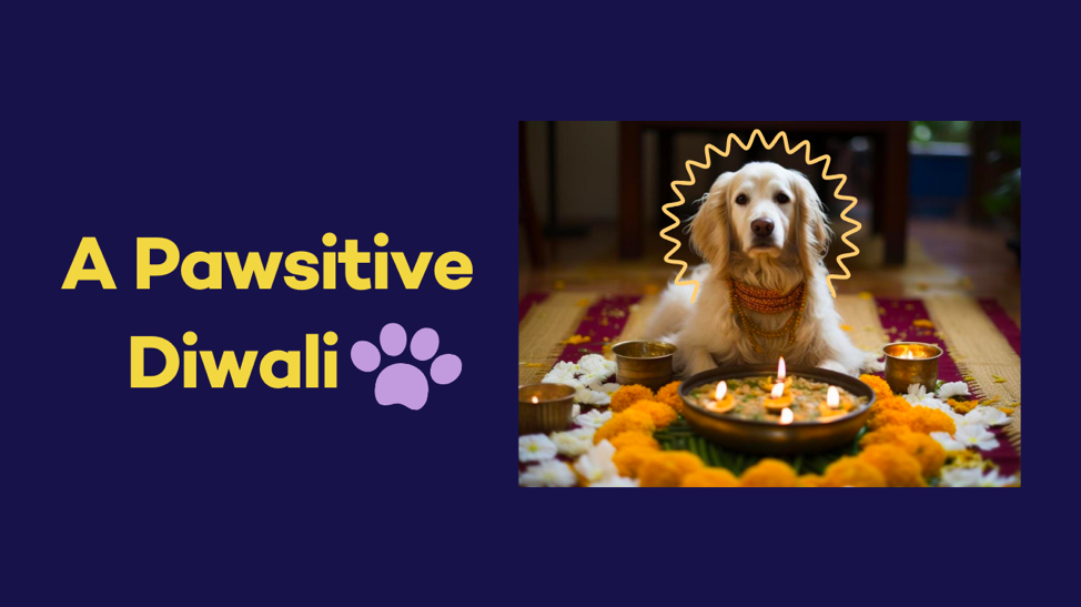 A Pawsitive Diwali – Keeping Pets Safe & Calm!