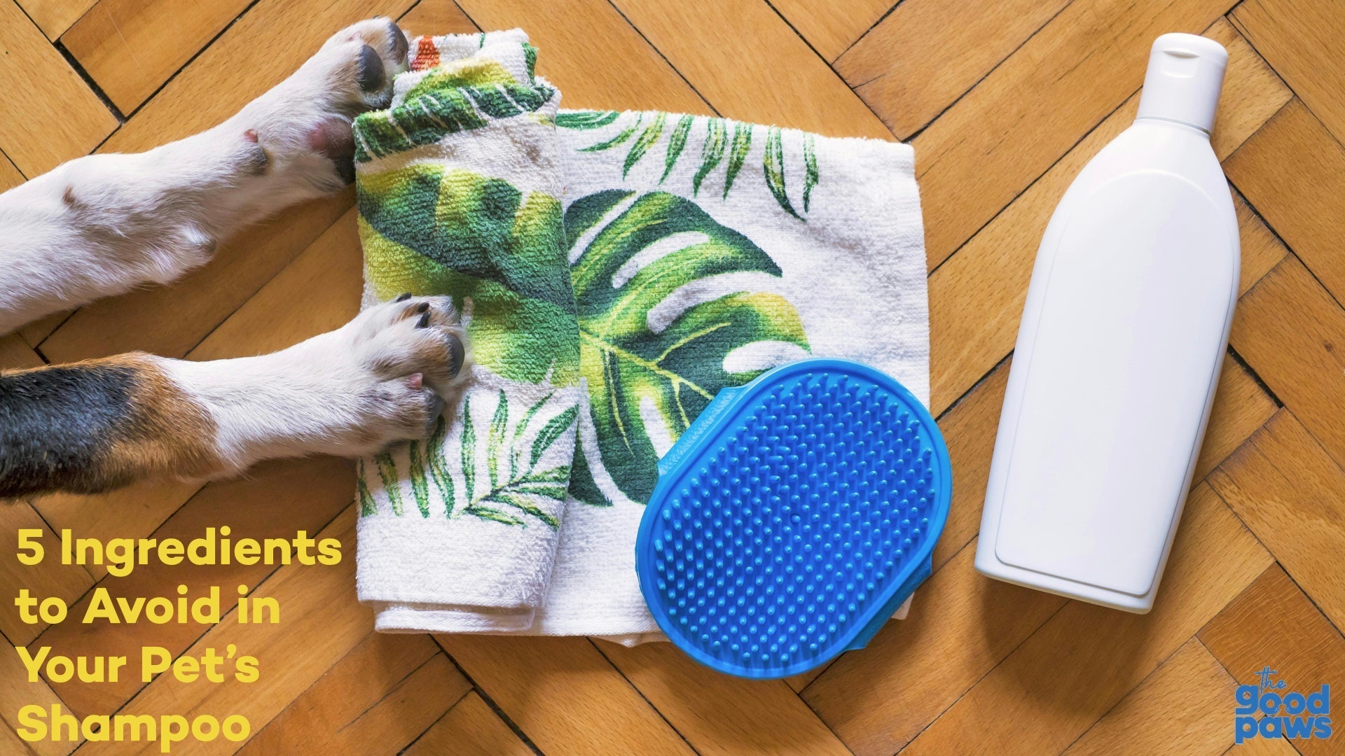 Ingredients You MUST avoid in your dog's shampoo