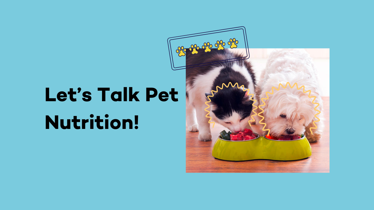 Pet Nutrition Guide for Dogs & Cats