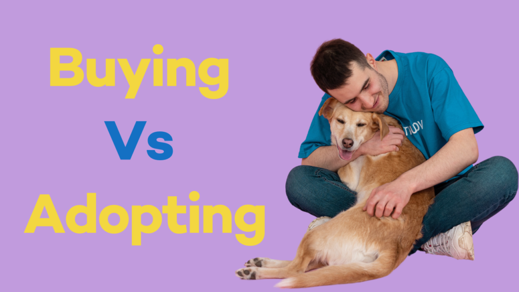 Should You Adopt or Buy a Dog in India?