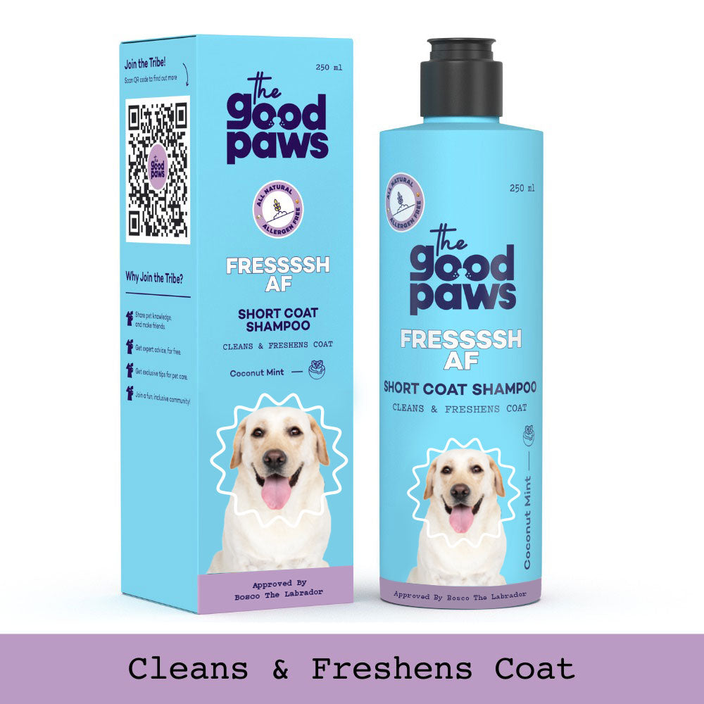 Fressssh Af Short Coat Dog Shampoo for Beagle, Coat Cleanser
