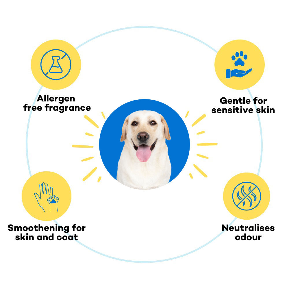 Fressssh Af Short Coat Dog Shampoo for Beagle, Coat Cleanser