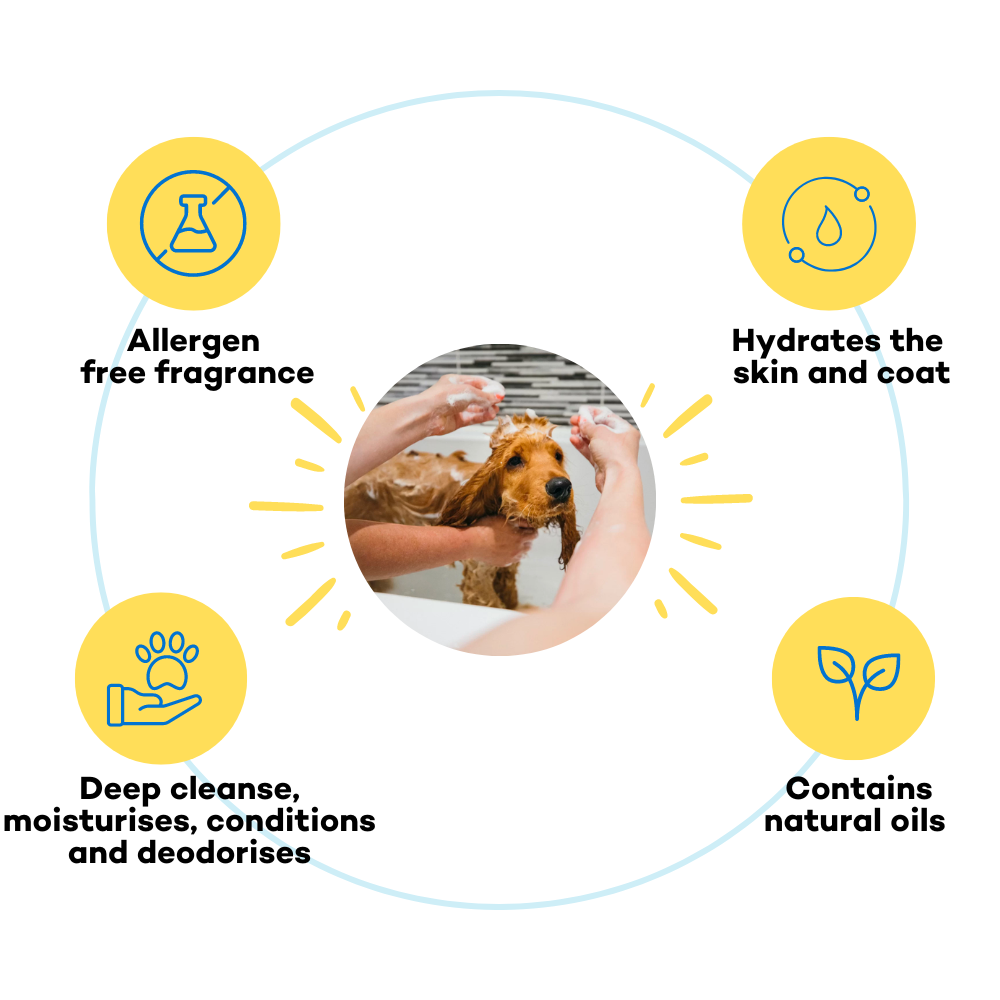 Awesome Pawsome 4-In-1 Dog Shampoo & Conditioner, Moisturizing & Conditioning