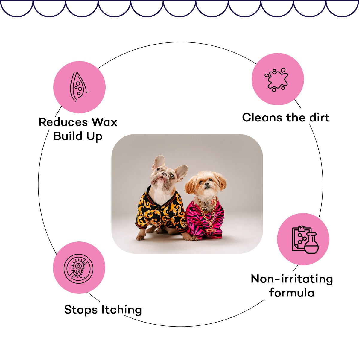 Weekly 5m Reset - Clean Paws & Clear Ears