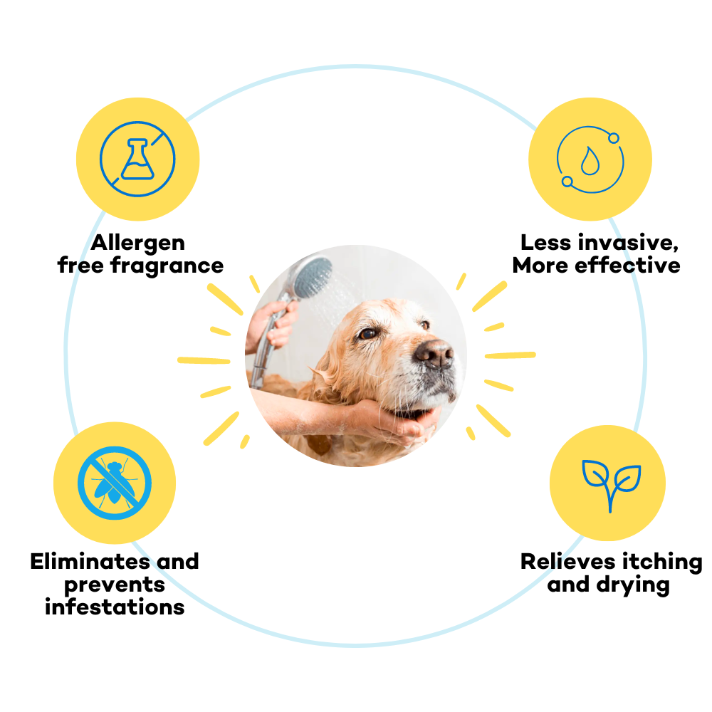 Tick Tick Boop Anti Tick and Flea Dog Shampoo