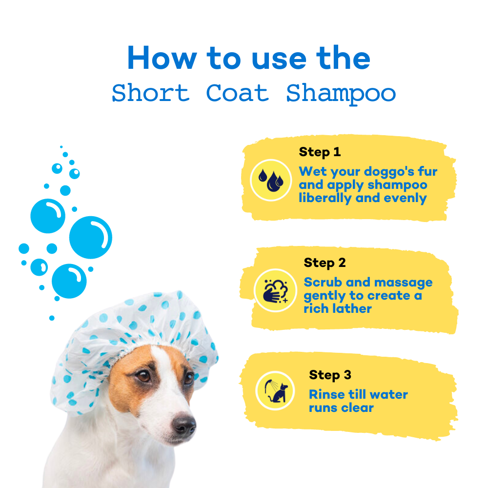 Fressssh Af Short Coat Dog Shampoo for Beagle, Coat Cleanser