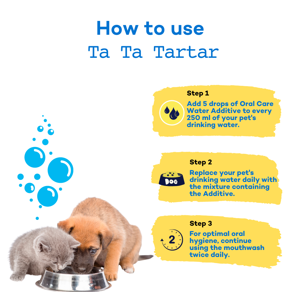 Daily 60s Defence - Dental Hygiene