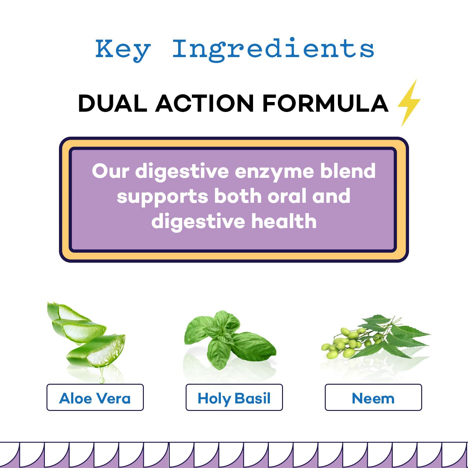 Daily 60s Defence - Dental Hygiene