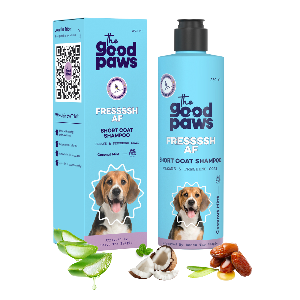 Fressssh Af Short Coat Dog Shampoo for Beagle, Coat Cleanser