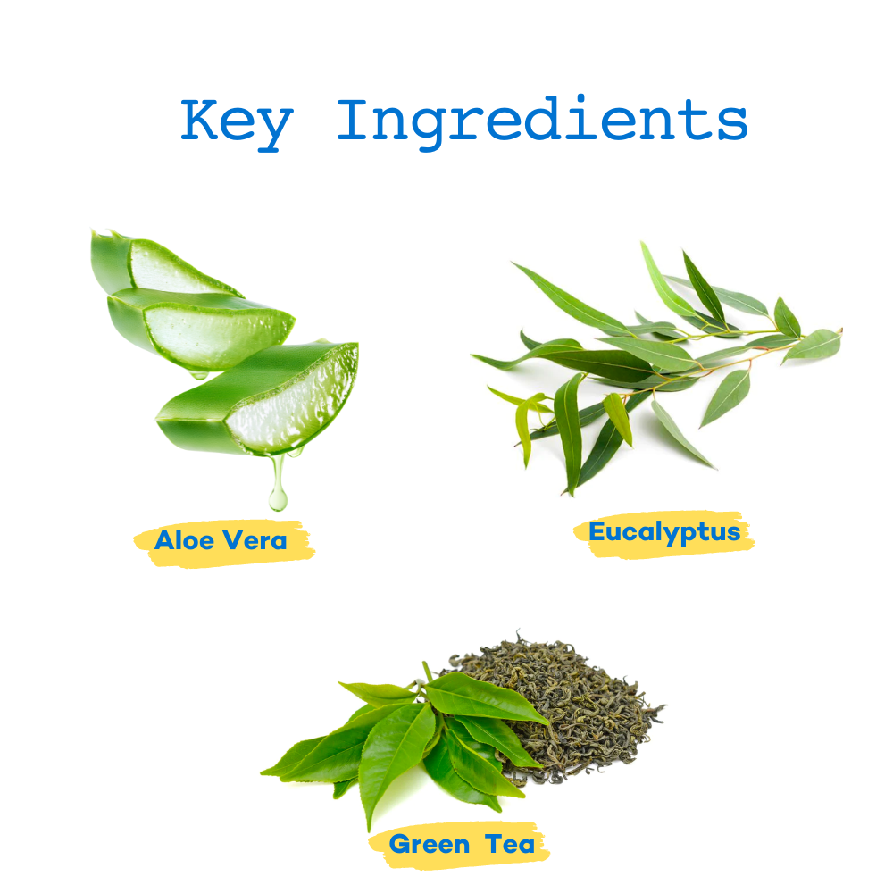 Tick Tick Boop Anti Tick and Flea Dog Shampoo