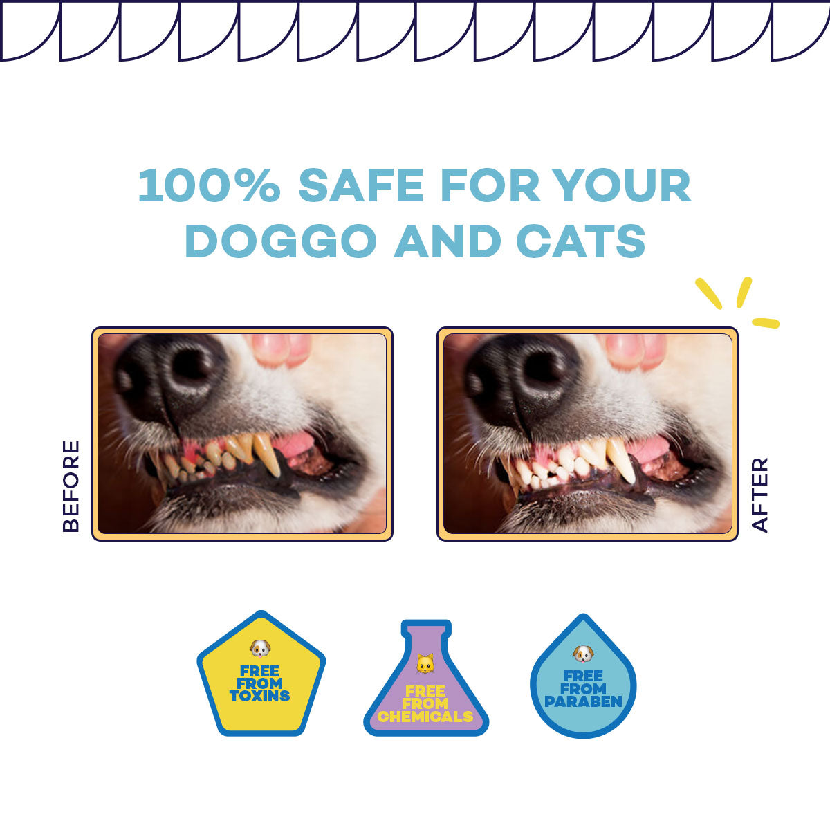 Daily 60s Defence - Dental Hygiene