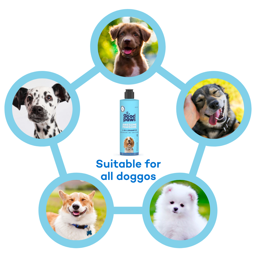 Awesome Pawsome 4-In-1 Dog Shampoo & Conditioner, Moisturizing & Conditioning
